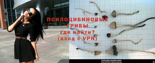 спайс Аркадак