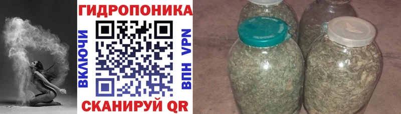 Бошки марихуана White Widow  сколько стоит  Нязепетровск 